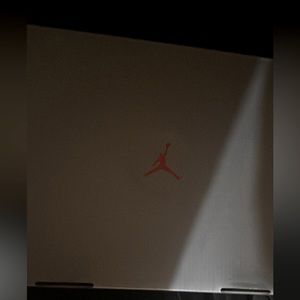 Jordan 13 barley used